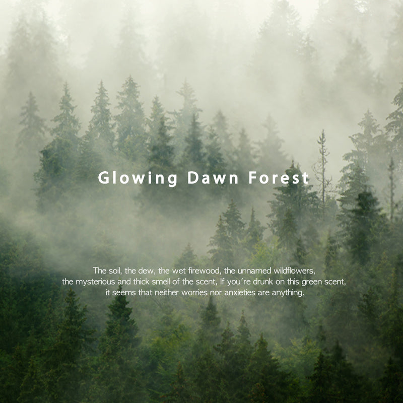 Encens Glowing Dawn Forest